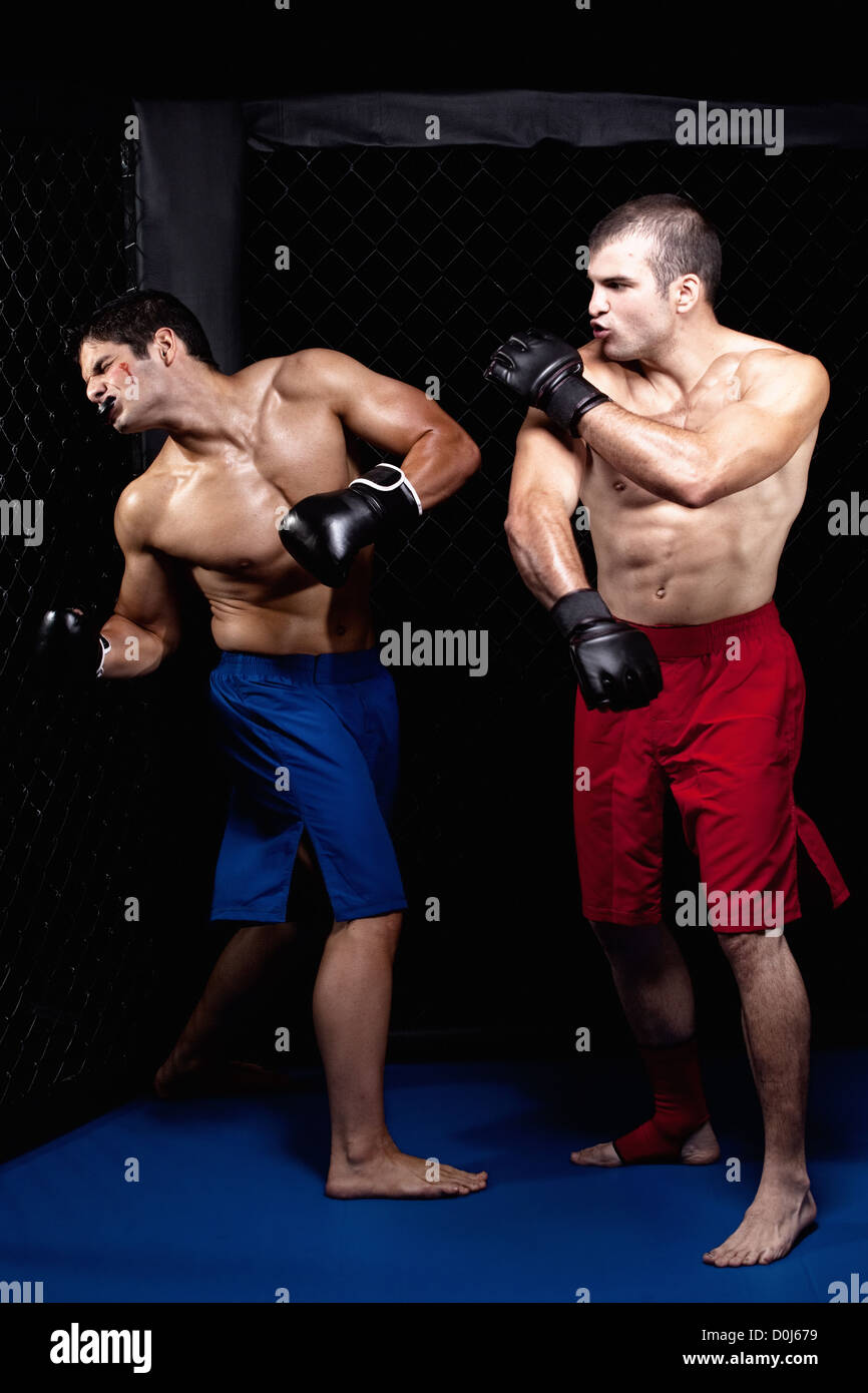 Mixed martial artists fighting Stock Photo - Alamy