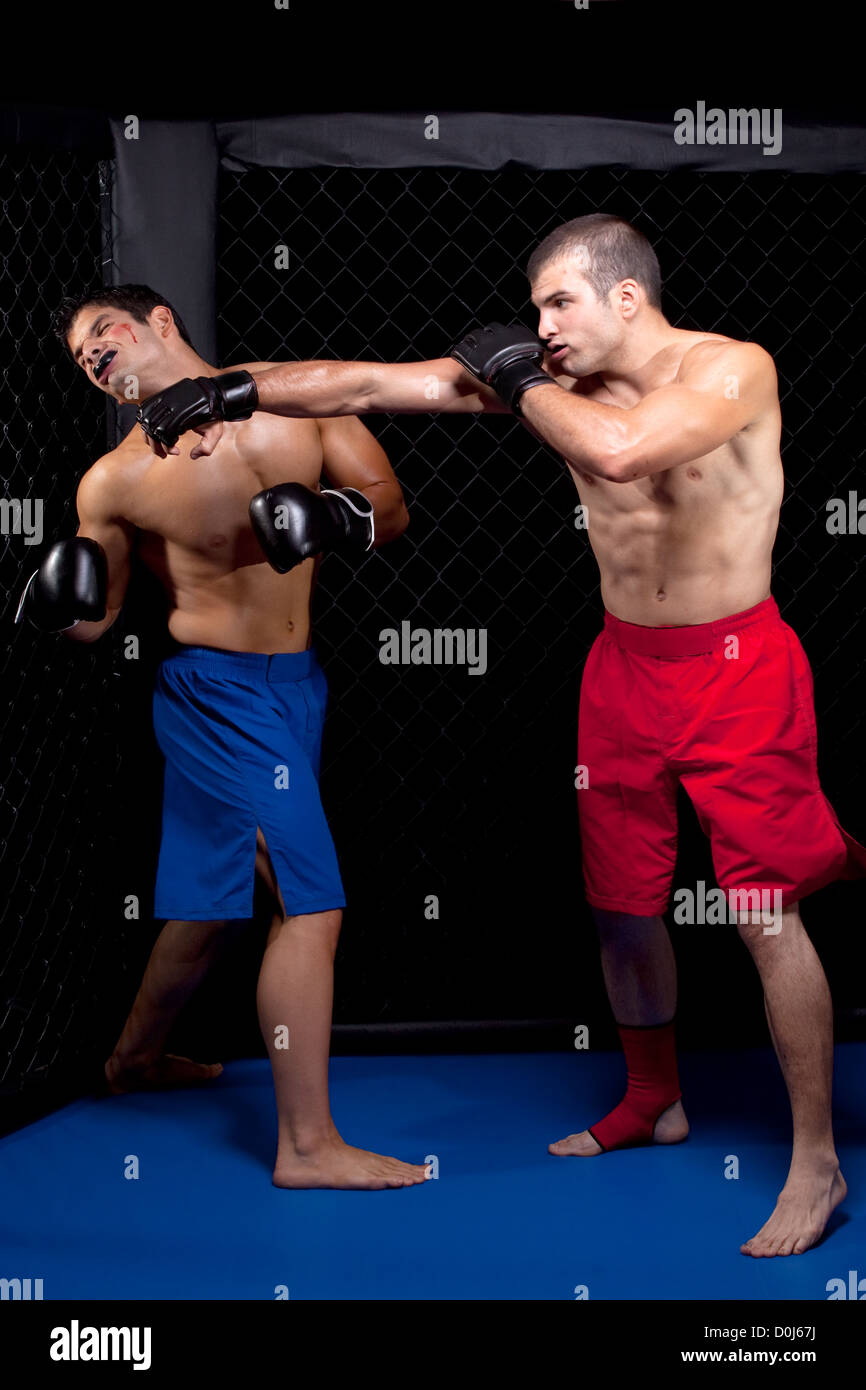 Mixed martial artists fighting Stock Photo Alamy