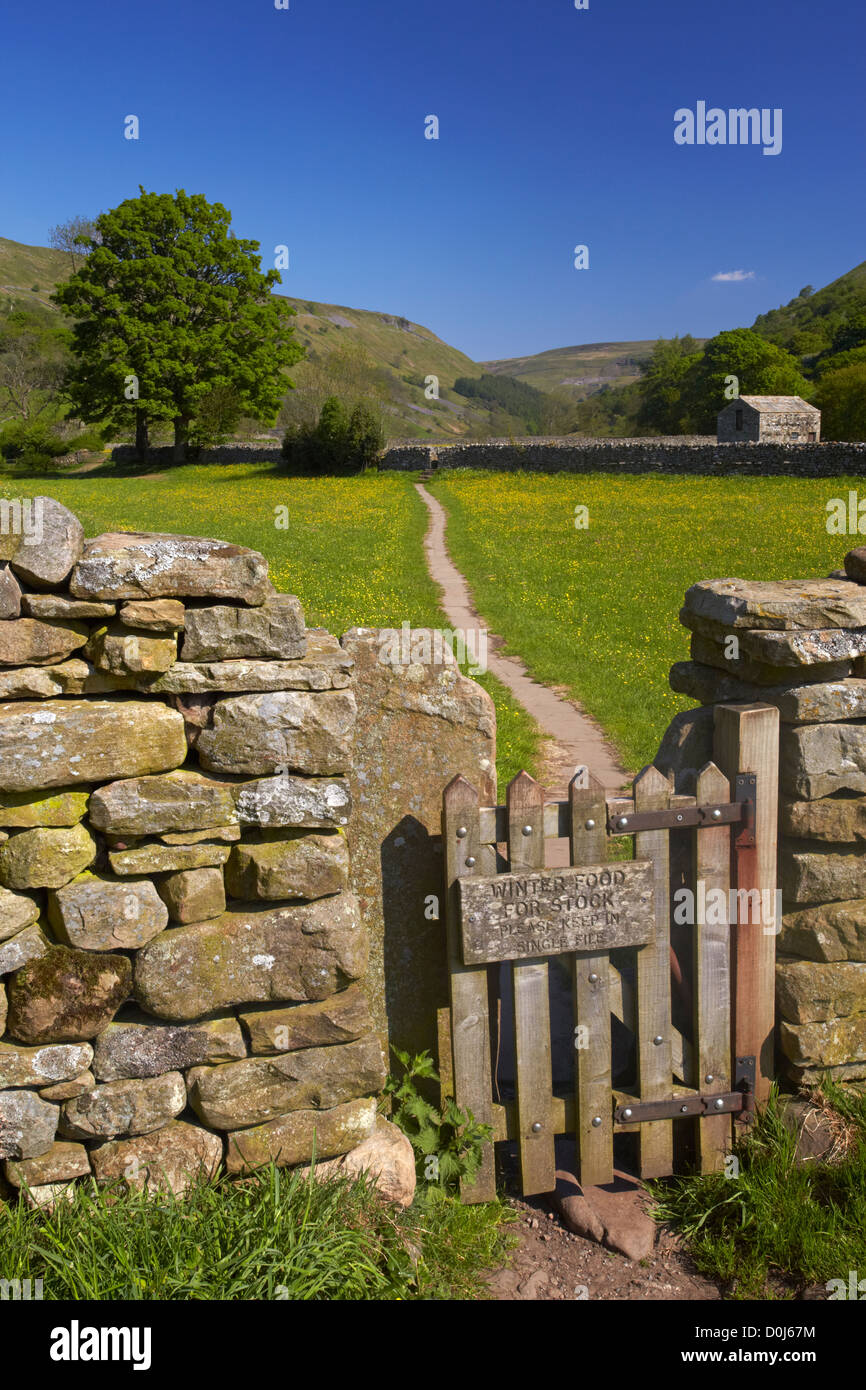 Gate leading through drystone wall to early summer buttercup meadows in Swaledale. Stock Photo