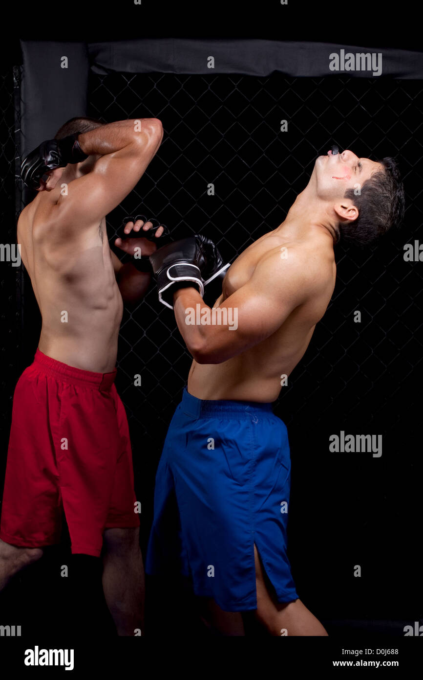 Mixed martial artists fighting Stock Photo Alamy