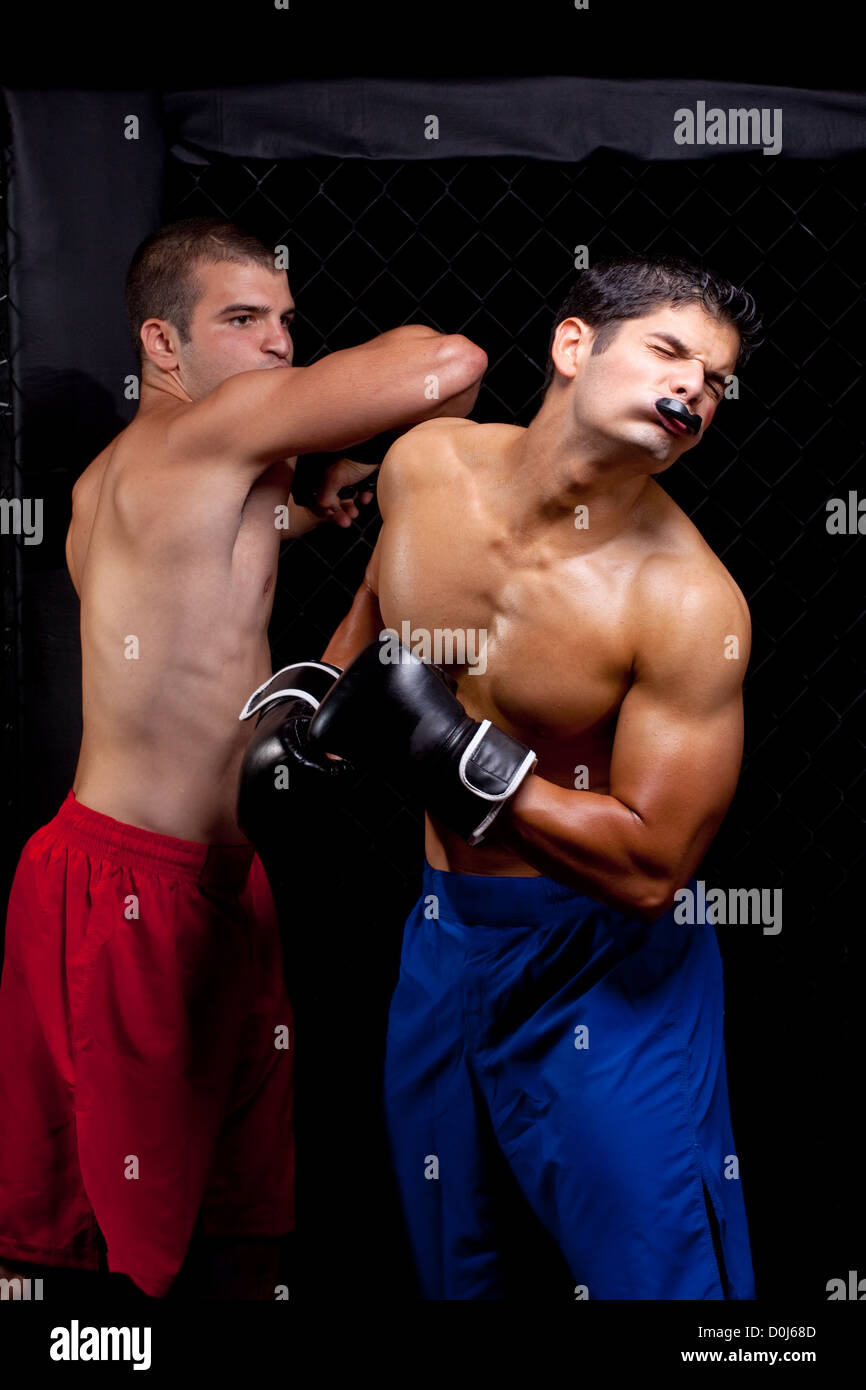 Mixed martial artists fighting Stock Photo Alamy