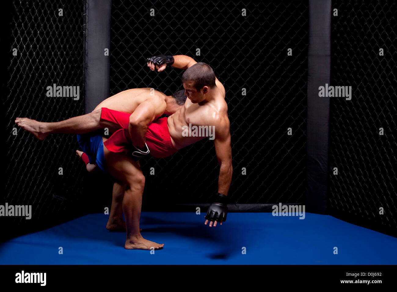 Mixed martial artists fighting Stock Photo Alamy