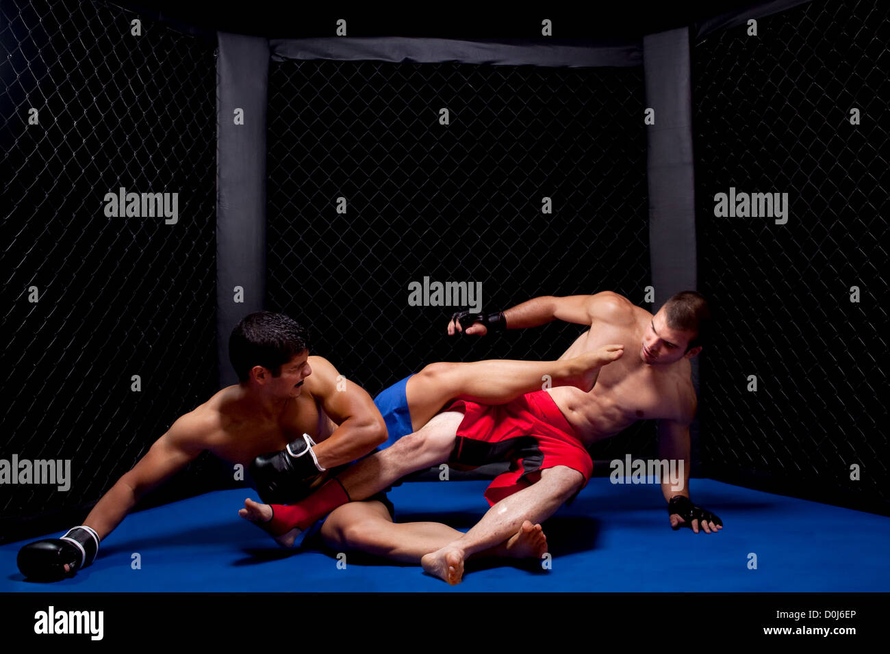 Mixed martial artists fighting Stock Photo Alamy
