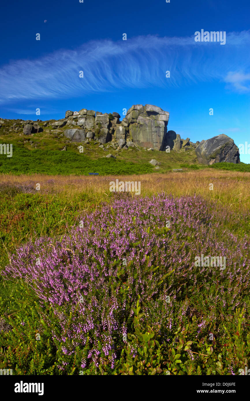The Cow and Calf rocks on Ilkley Moor. Stock Photo