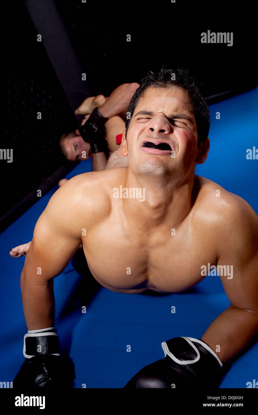 Mixed martial artists fighting Stock Photo