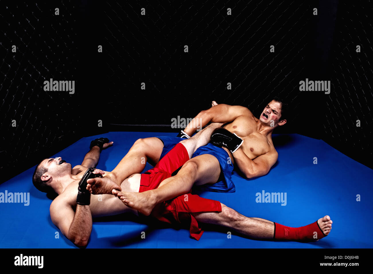 Mixed martial artists fighting Stock Photo Alamy