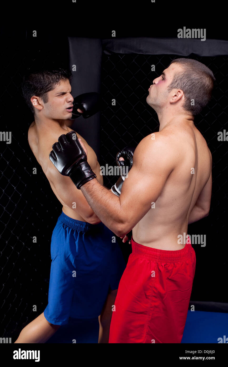 Mixed martial artists fighting Stock Photo Alamy
