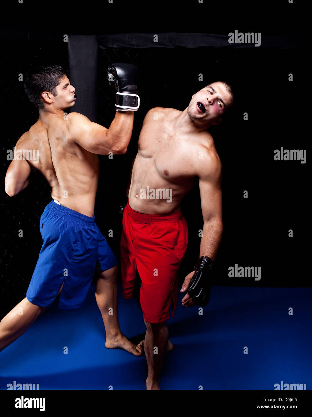 Mixed martial artists fighting Stock Photo Alamy