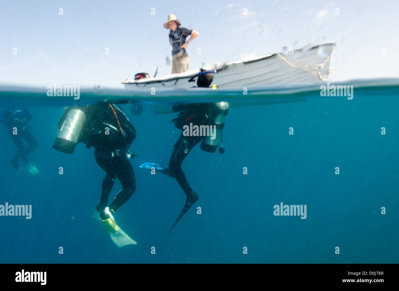 Three Scuba divers surface after a dive on the Great Barrier Reef to be picked up in a dinghy after a drift dive. Split photo with part underwater. Stock Photo