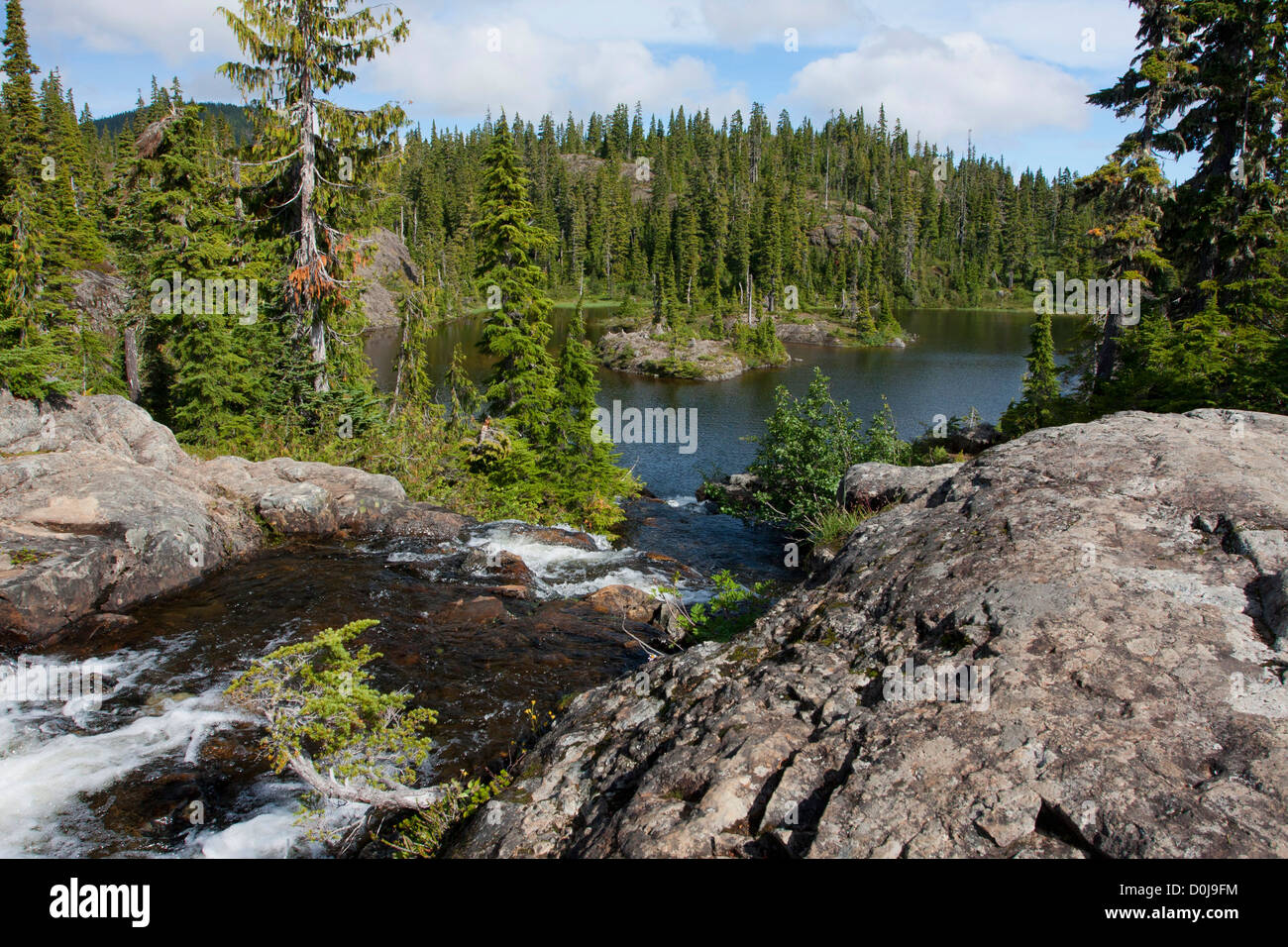 Lake Beautiful at the Forbidden Plateau, Strathcona Park, Vancouver Island. BC,Canada in September Stock Photo