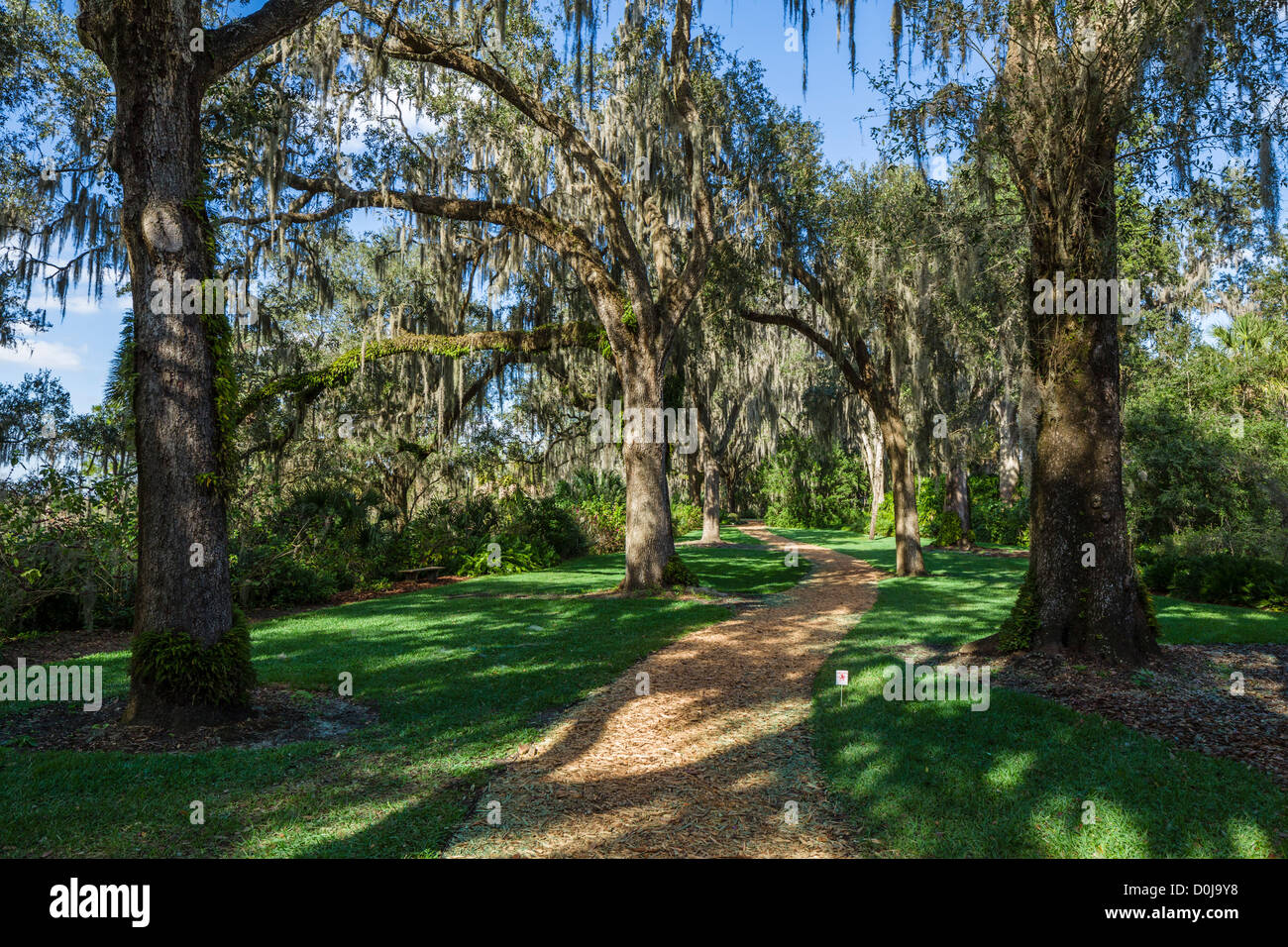 Path through Bok Tower Gardens, Lake Wales, Polk County, Central Florida, USA Stock Photo