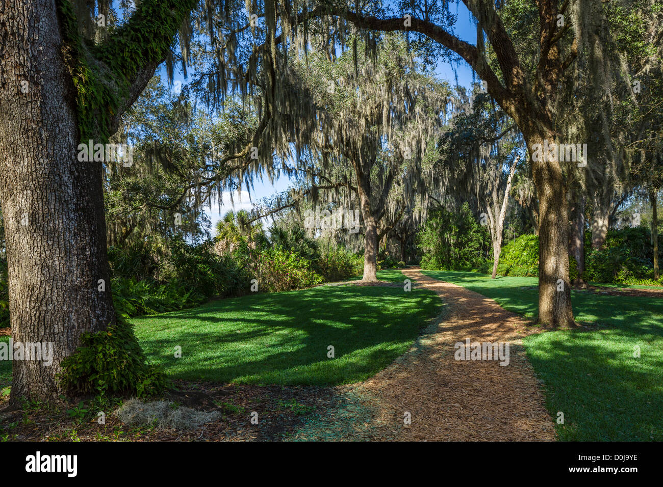 Path through Bok Tower Gardens, Lake Wales, Polk County, Central Florida, USA Stock Photo