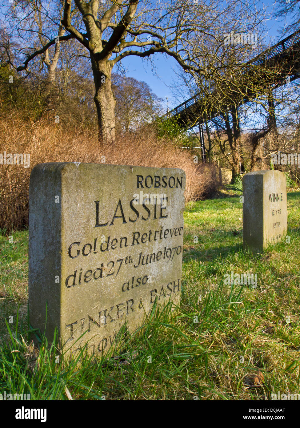Headstone in a pet cemetery and pet burial ground in Jesmond Dene in the City of Newcastle. Stock Photo