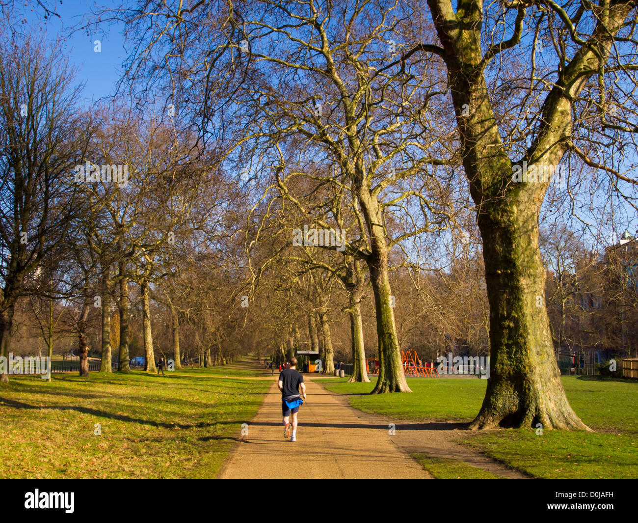 Jogger exercising in Hyde Park. Stock Photo
