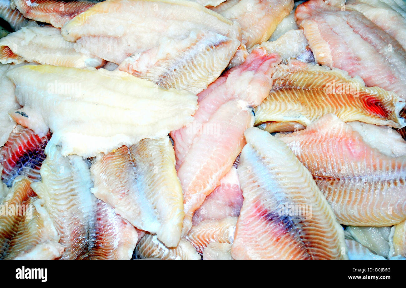 Fresh raw catfish Stock Photo Alamy