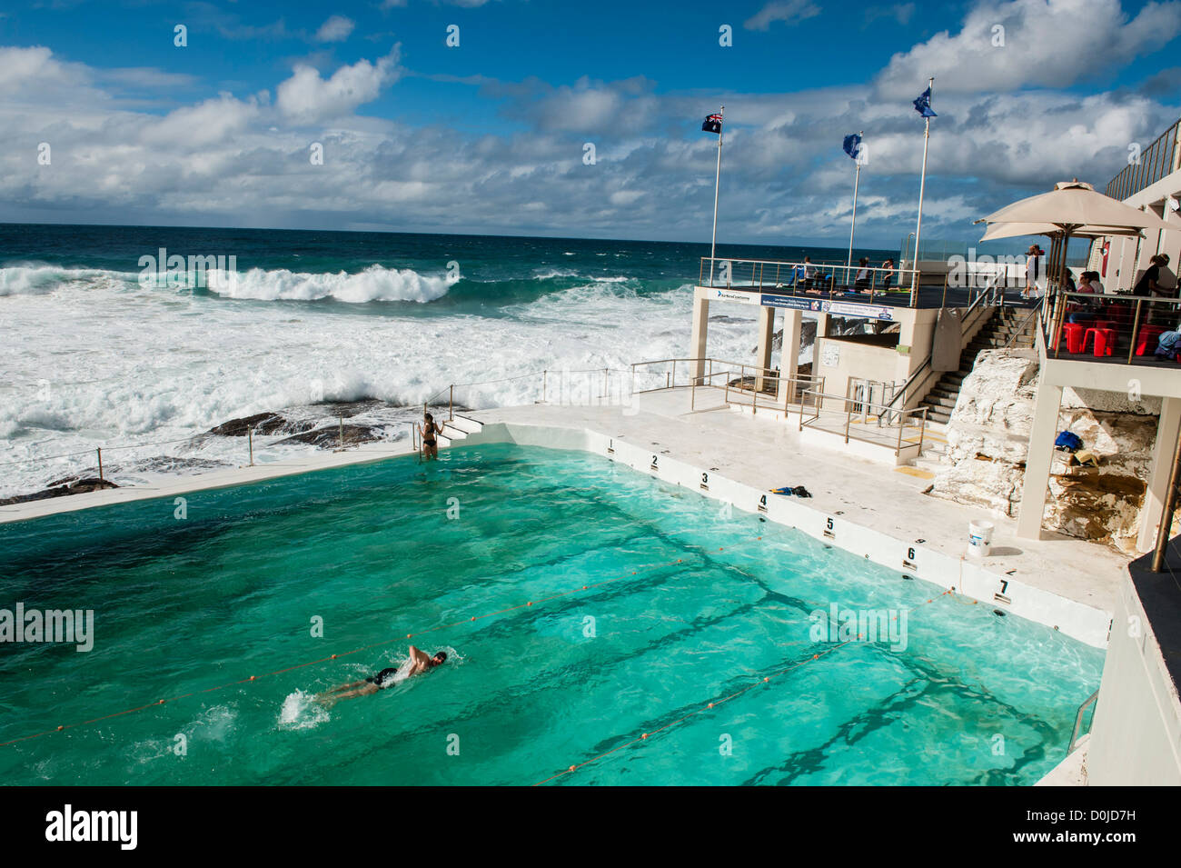 bondi icebergs swimming pool