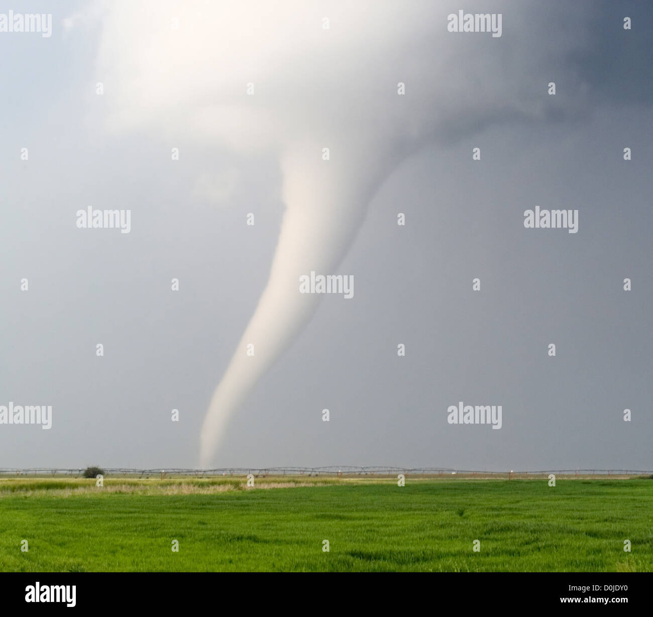 Milky White Tornado Spins Across Farmland Stock Photo