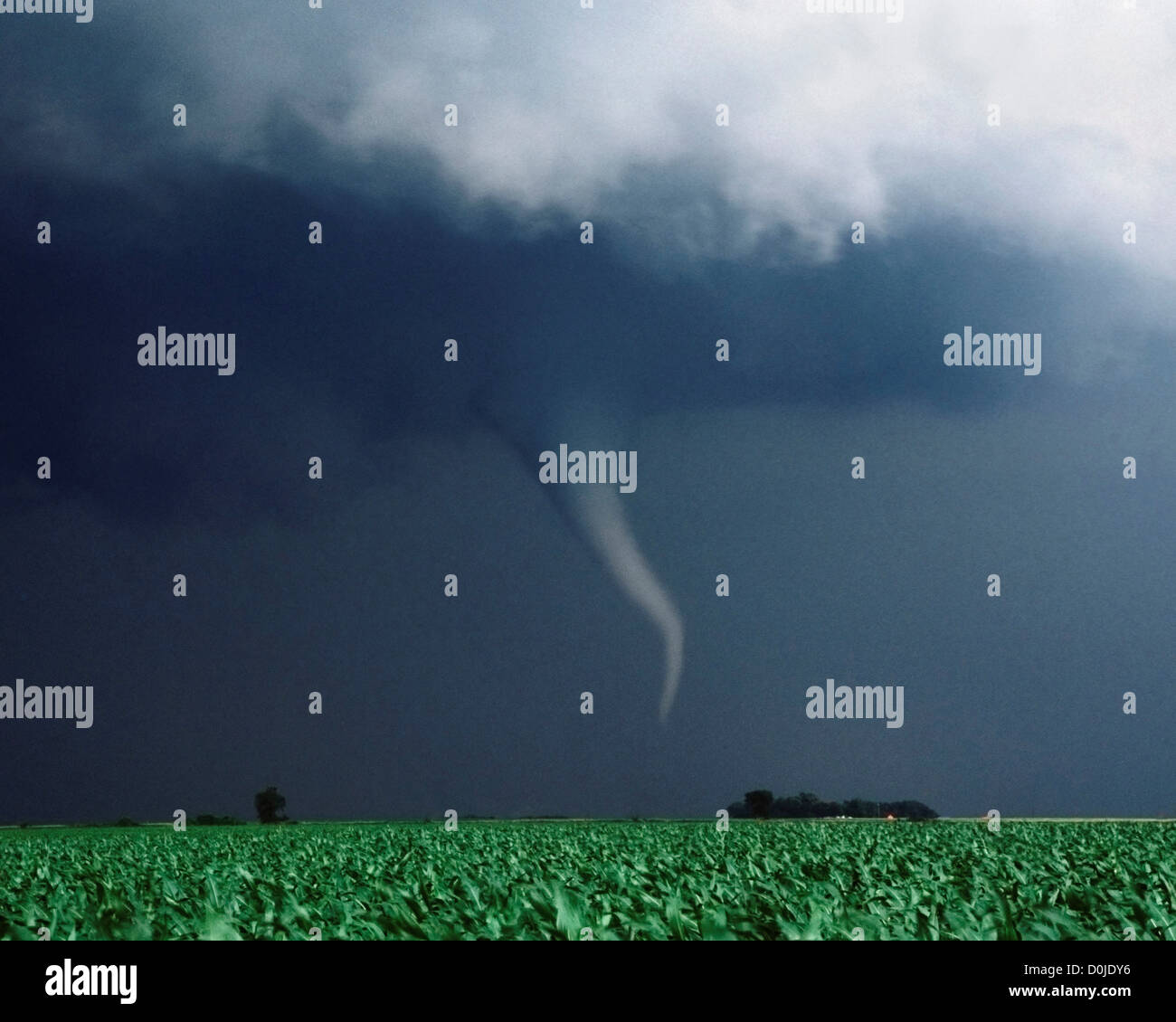 Tornado at Twilight Stock Photo