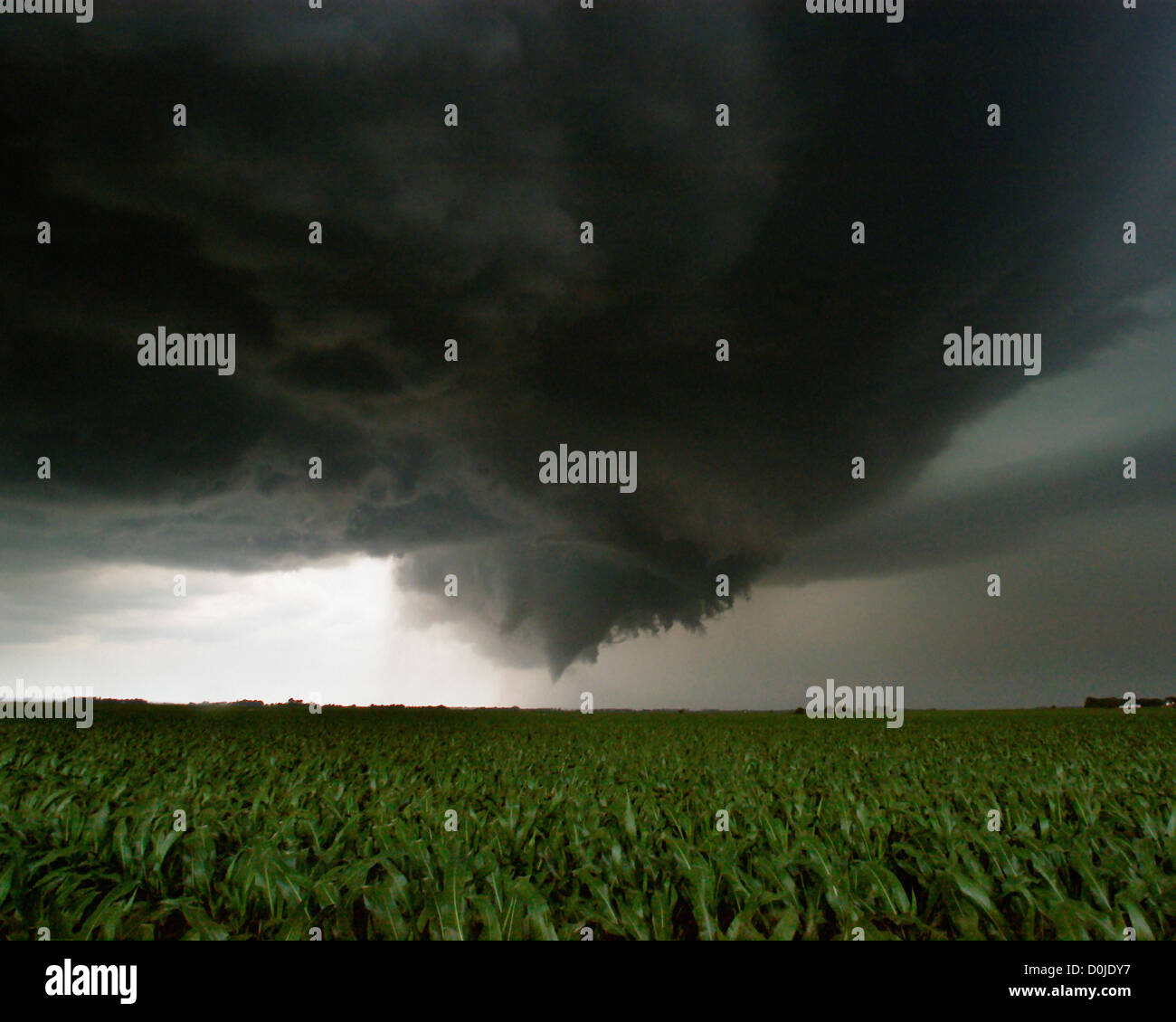 A Late Afternoon Tornado Develops Over Farmland Stock Photo