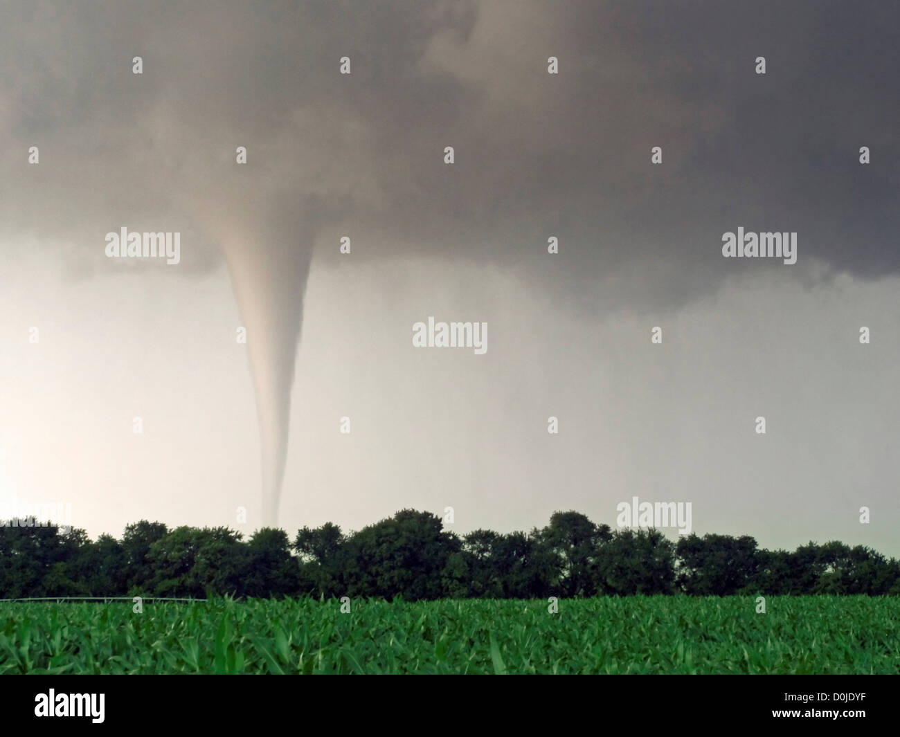 Milky White Tornado Spins Across Farmland at Sunset Stock Photo