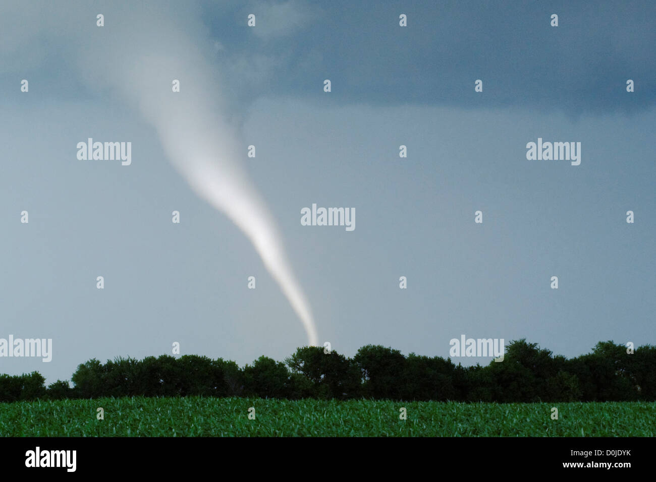 Milky White Tornado Spins Across Farmland Stock Photo