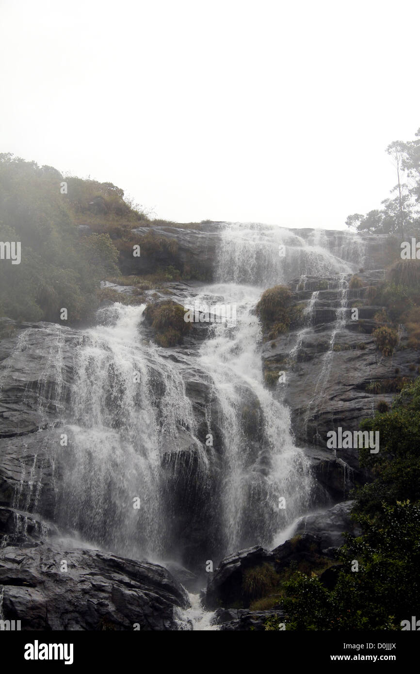 Stream at Munnar, Kerala Stock Photo