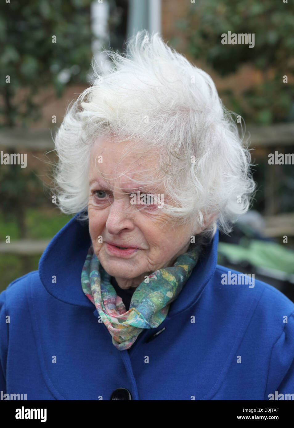 Old Gray Haired Lady High Resolution Stock Photography And Images Alamy