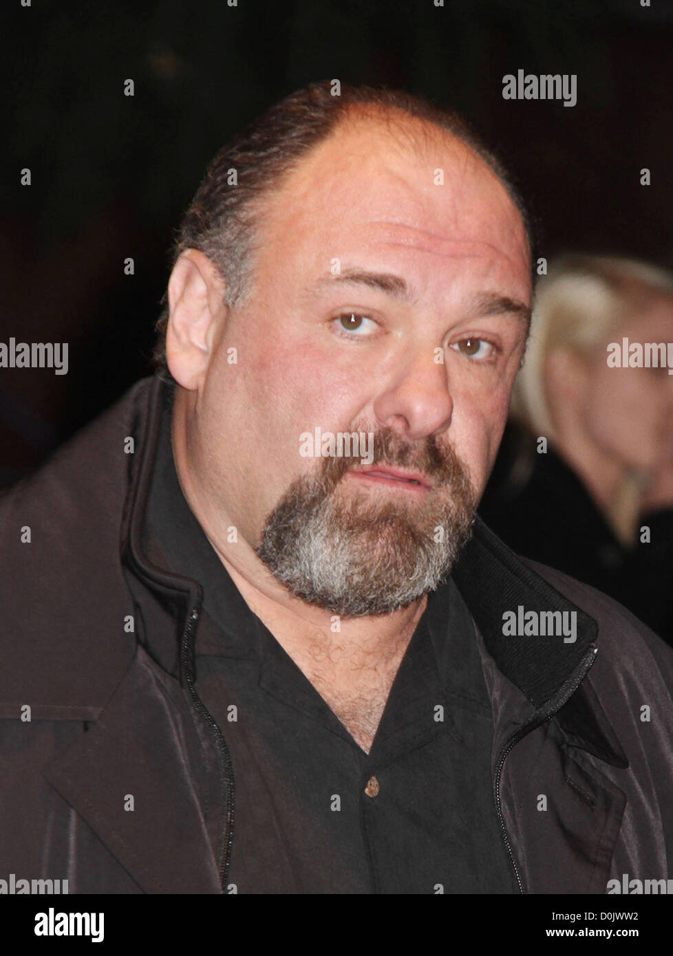 Nov. 26, 2012 New York, New York, U.S. Actor JAMES GANDOLFINI