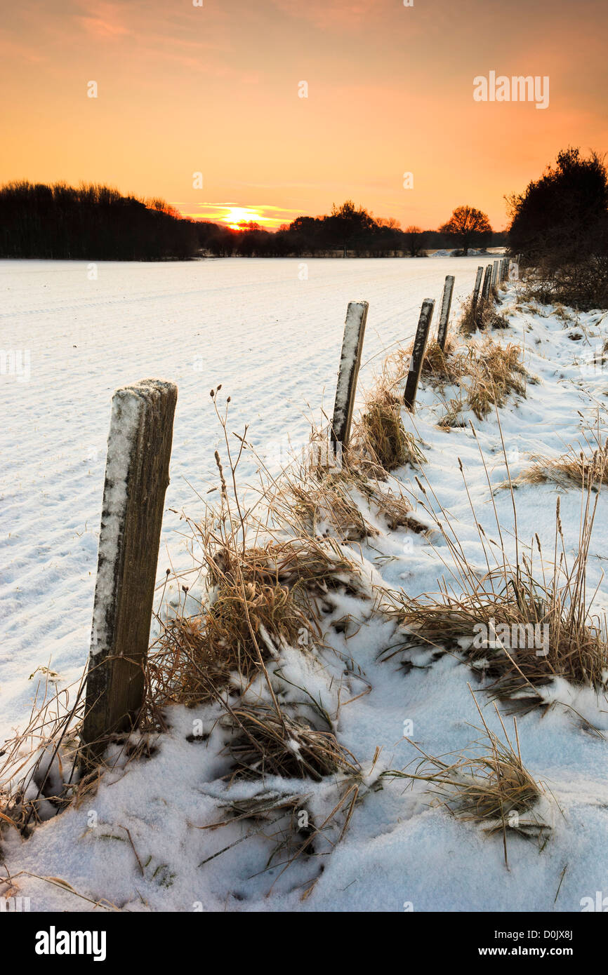 Fence posts hi-res stock photography and images - Alamy