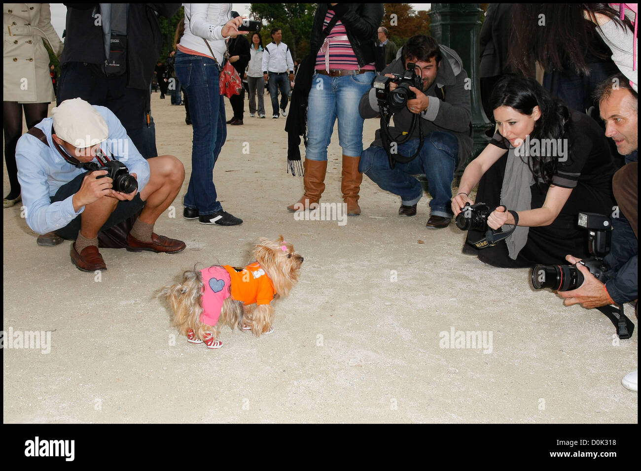 Wewee the dog Fashion Week Ready to Wear Spring/Summer 2011 Chloe Outside Arrivals Paris