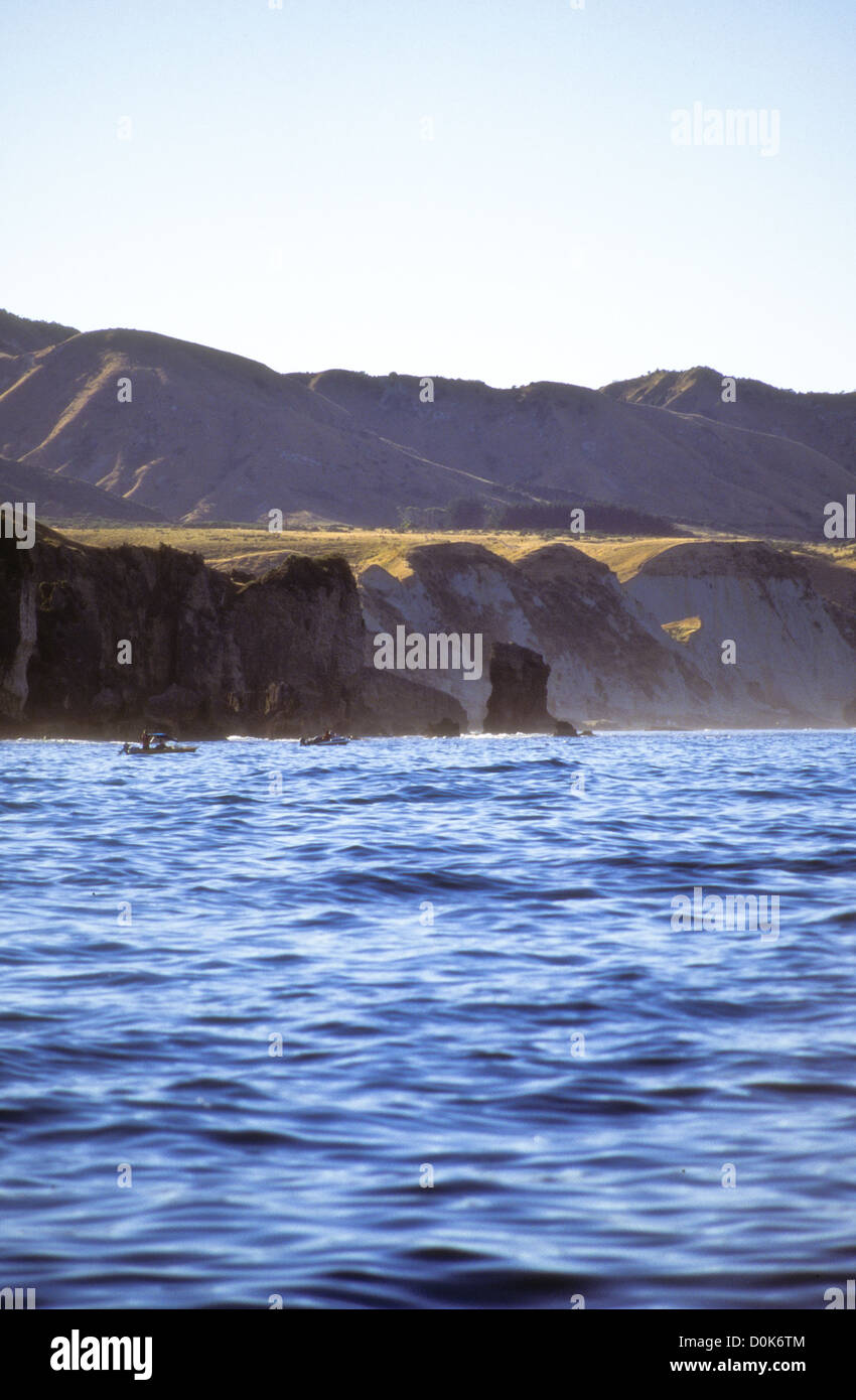 Mahia Peninsula,is famous for its surf,scuba diving,Beaches,hiking,Cray