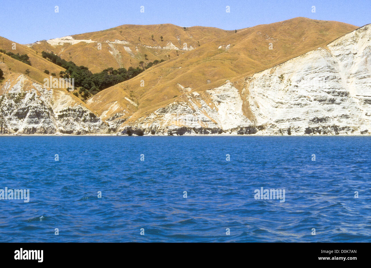 Mahia Peninsula,is famous for its surf,scuba diving,Beaches,hiking,Cray