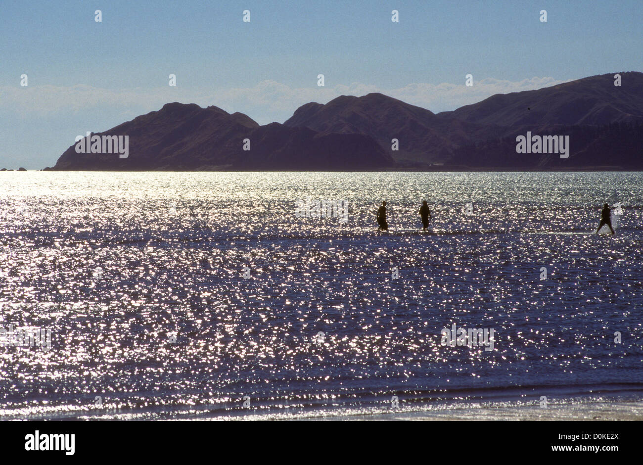 Mahia Peninsula,is famous for its surf,scuba diving,Beaches,hiking,Cray