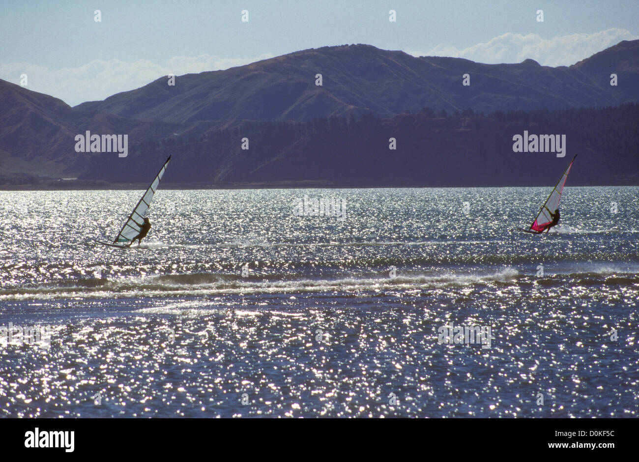 Mahia Peninsula,is famous for its surf,scuba diving,Beaches,hiking,Cray