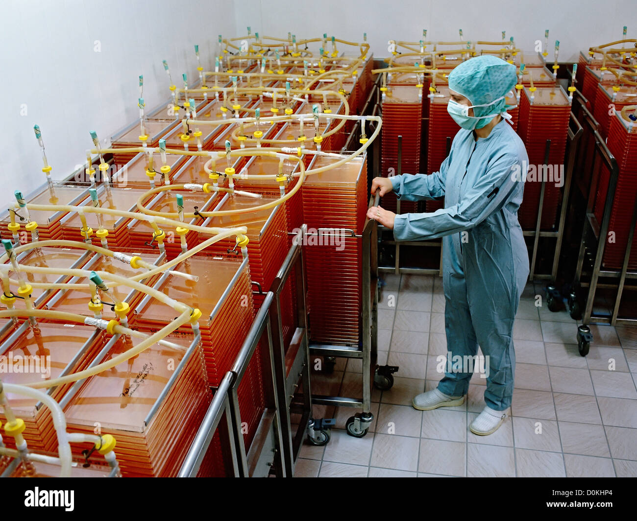 The production of genetically engineered incubators for growing cell cultures in a factory. Stock Photo