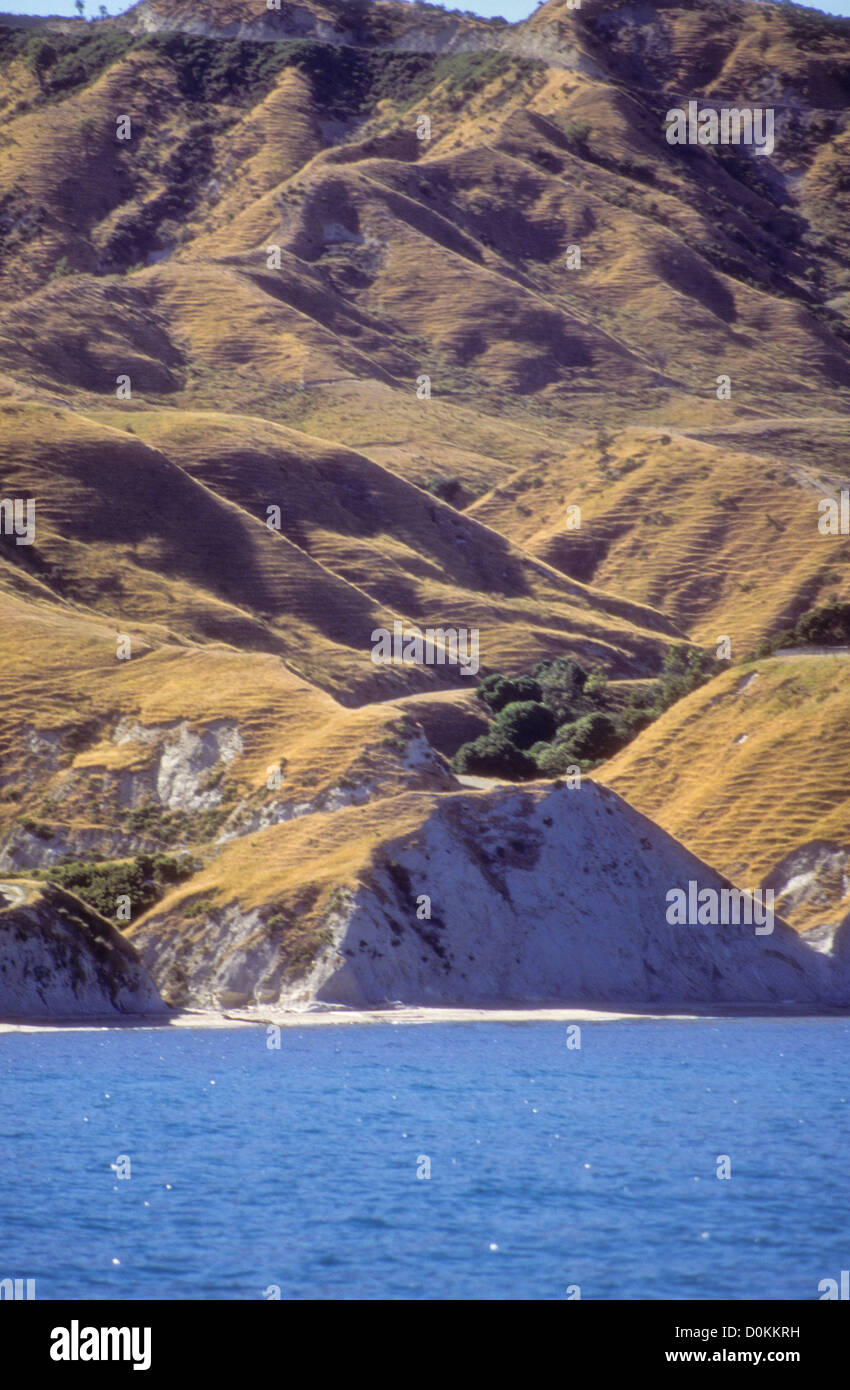 Mahia Peninsula,is famous for its surf,scuba diving,Beaches,hiking,Cray
