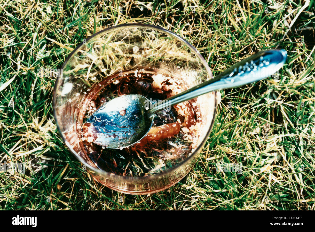 Remains of rhubarb crumble in ramekin Stock Photo Alamy