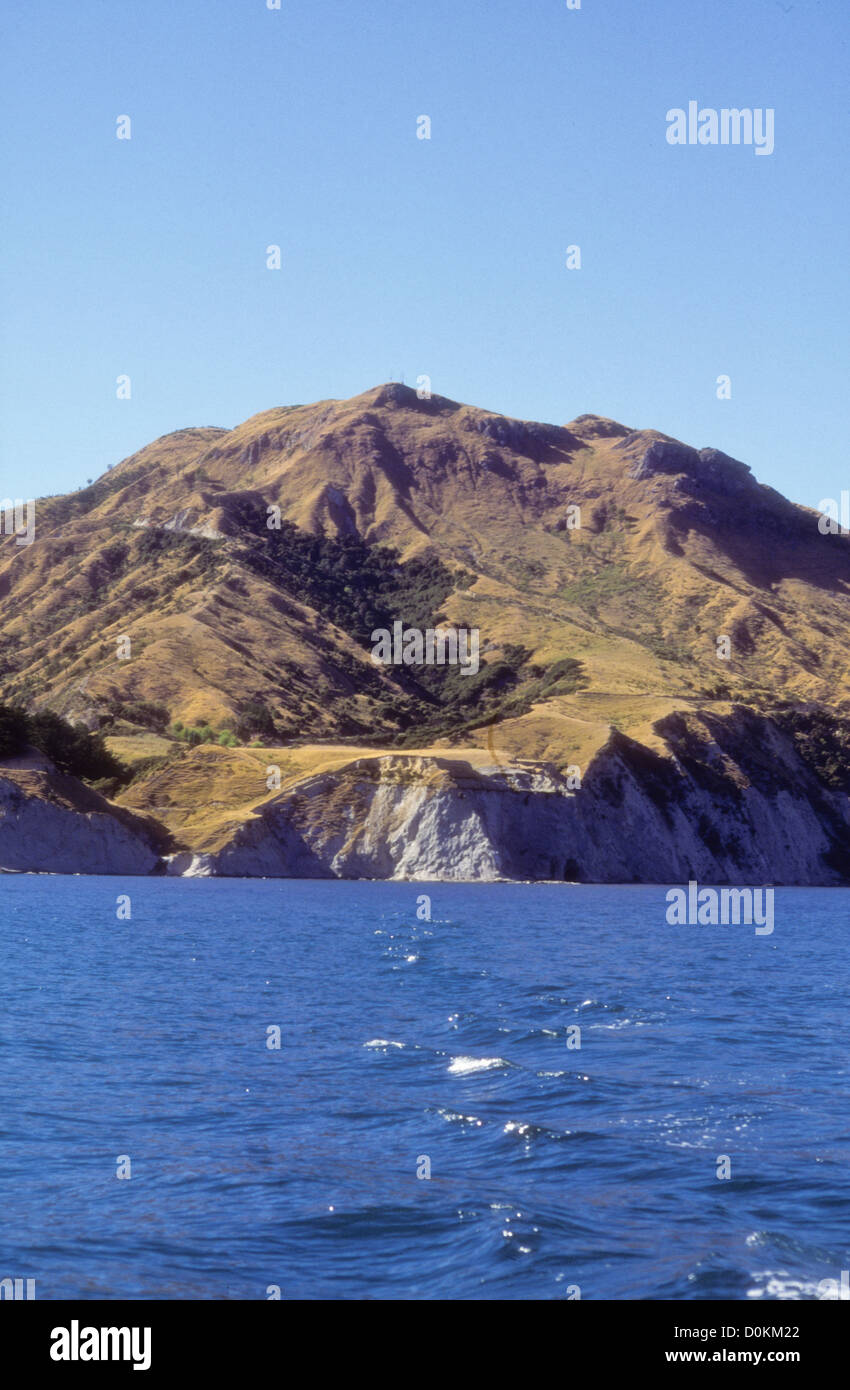 Mahia Peninsula,is famous for its surf,scuba diving,Beaches,hiking,Cray