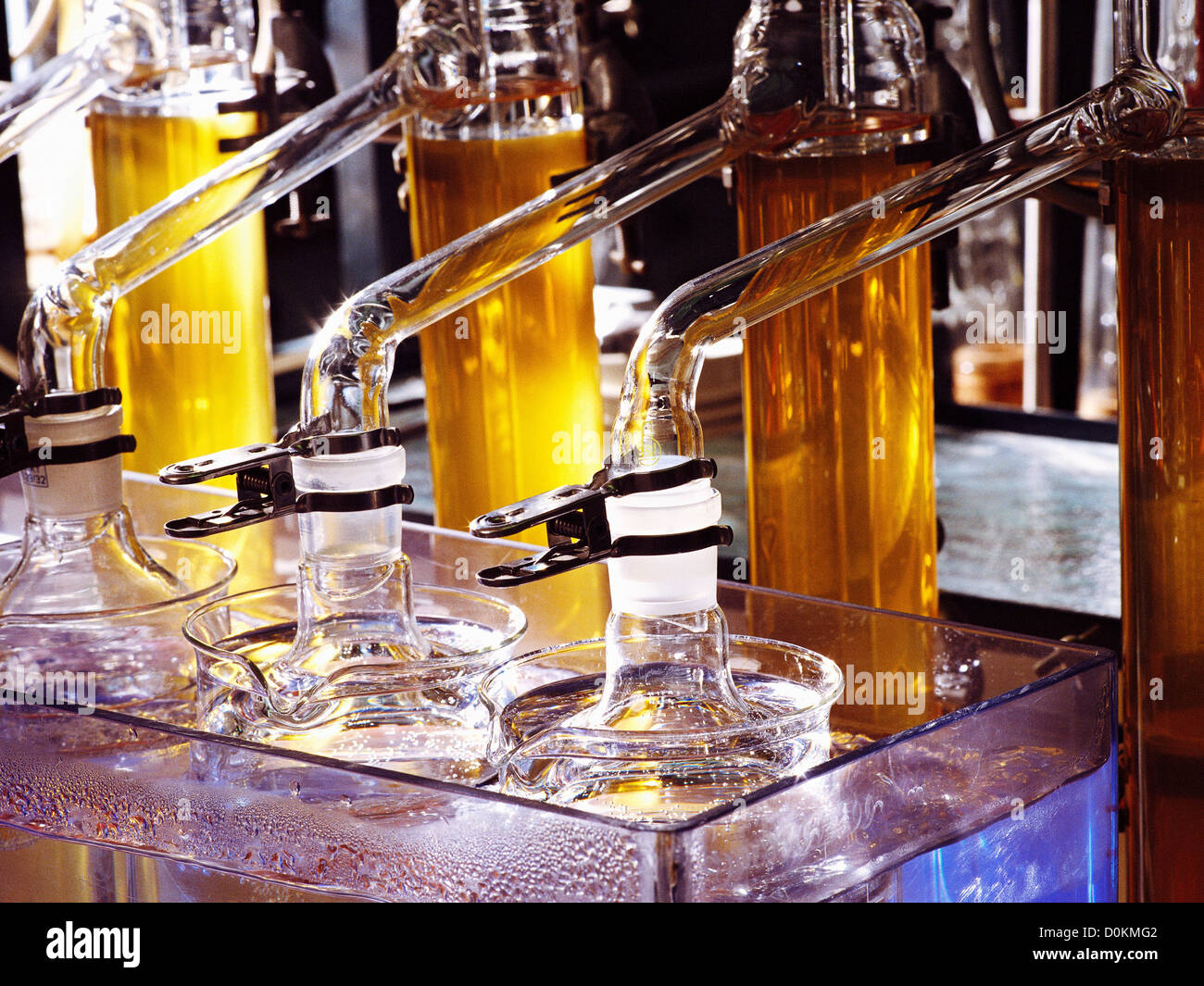 Testing the fatty acid content of beer using a liquidliquid extraction