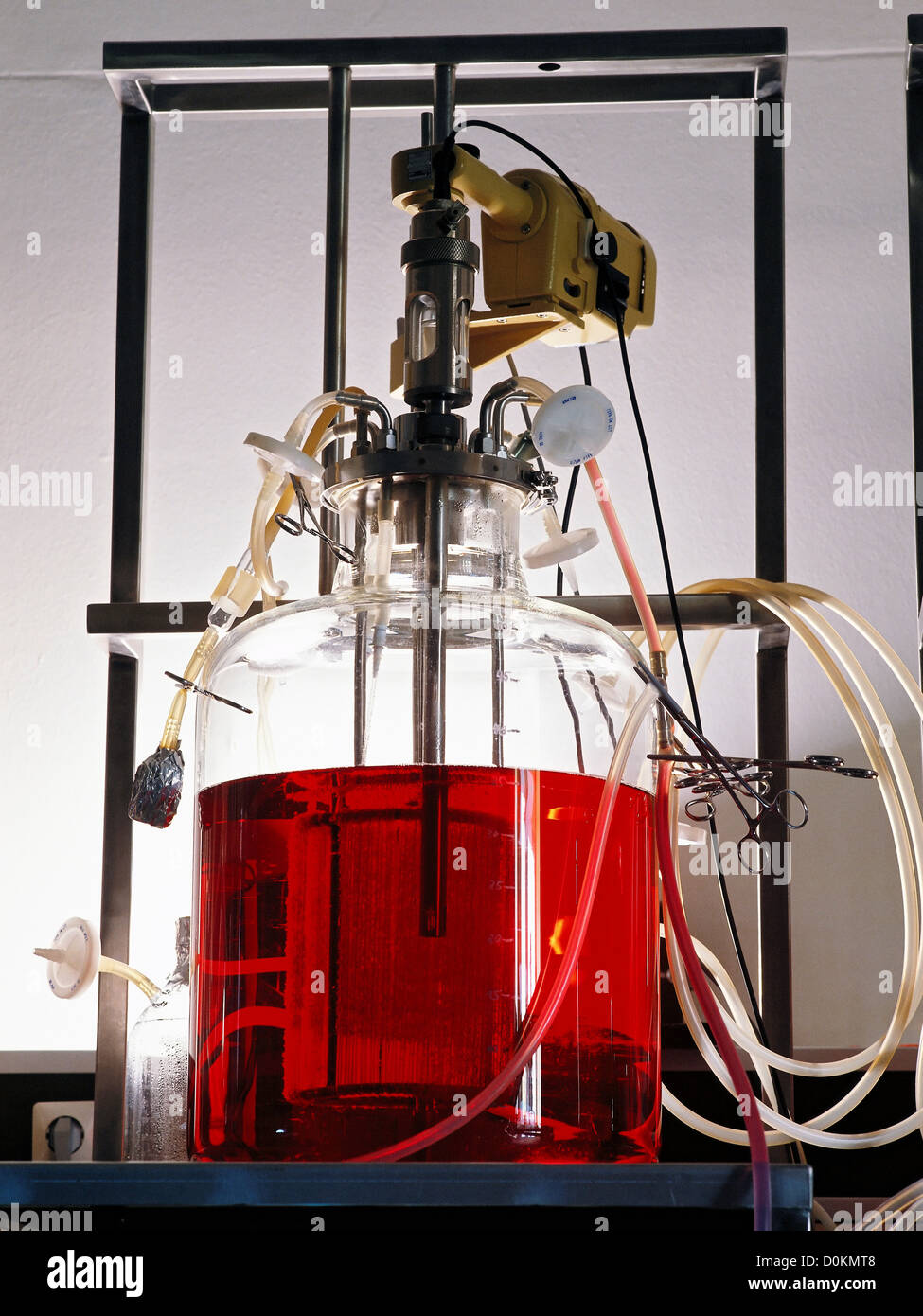 Production of genetically engineered pharmaceutical preparations in a large jar. Stock Photo