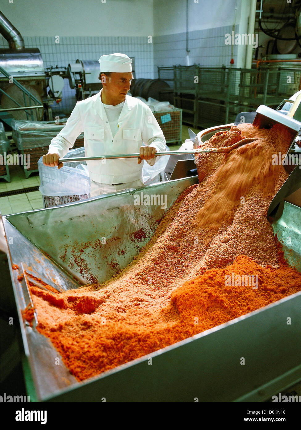 Tomato pulp discharging belt dryer soup factory. Tomato pulp is initial product manufacture