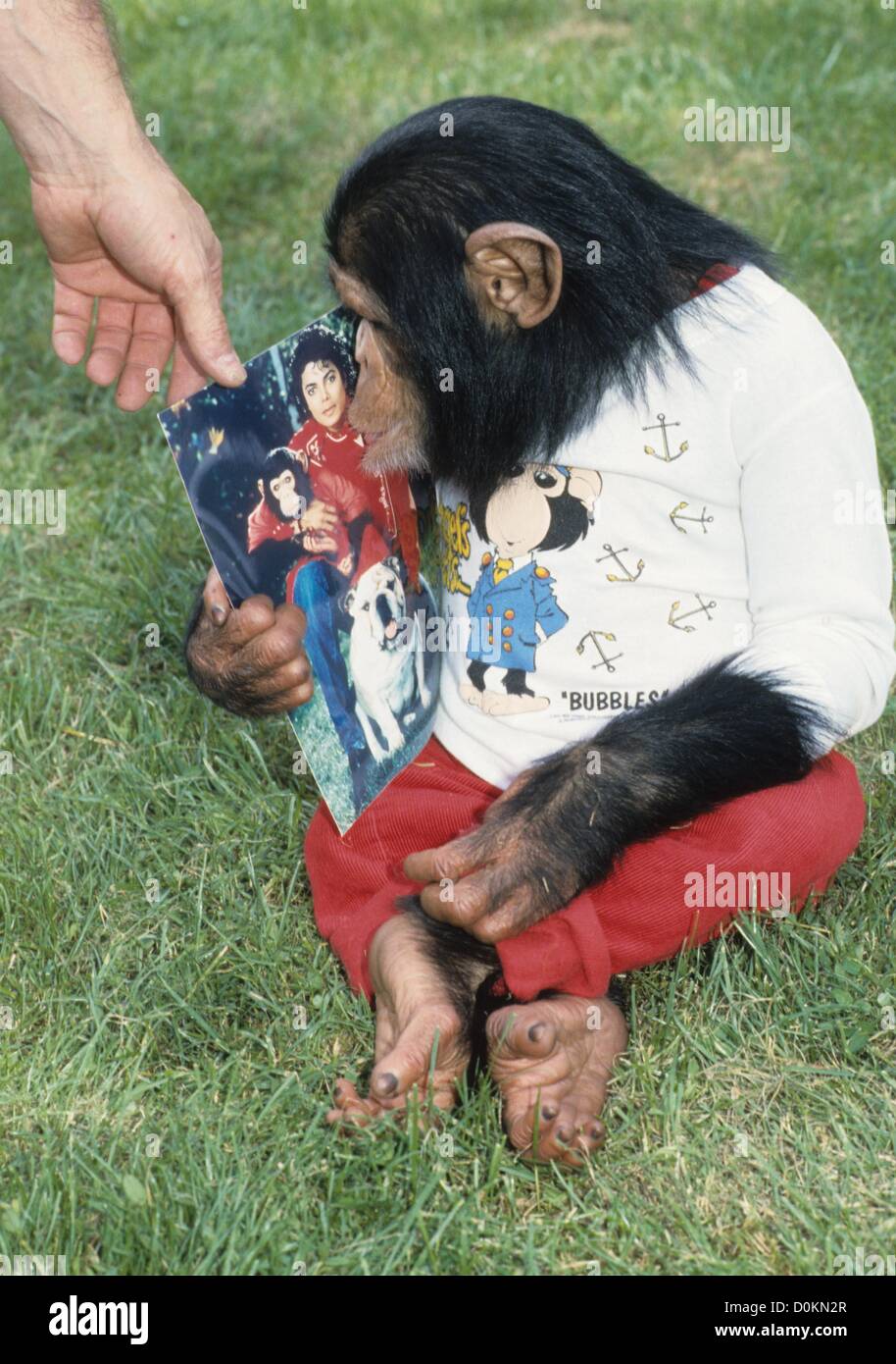 bubbles the monkey