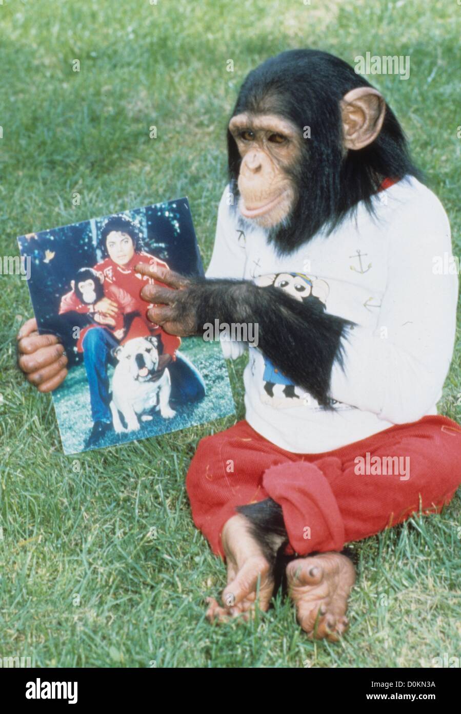 Bubbles the monkey discount