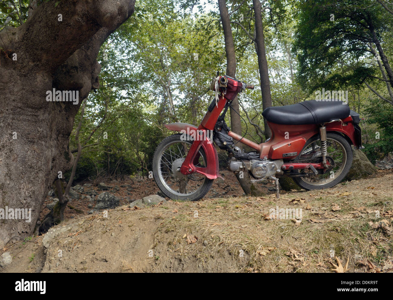scooter abandoned in the woodland Stock Photo - Alamy