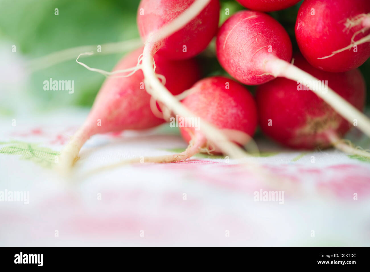 Bunch of radishes Stock Photo