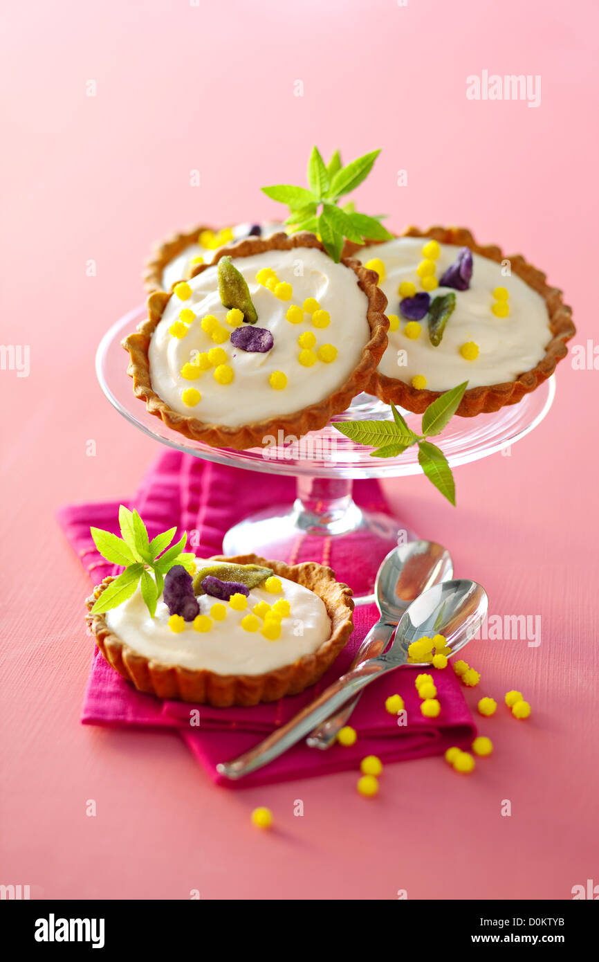 TiramisuÊtartlets Stock Photo