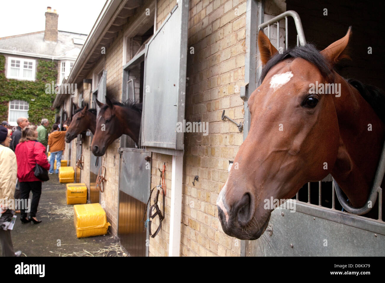 Racehorse stables hi-res stock photography and images - Alamy
