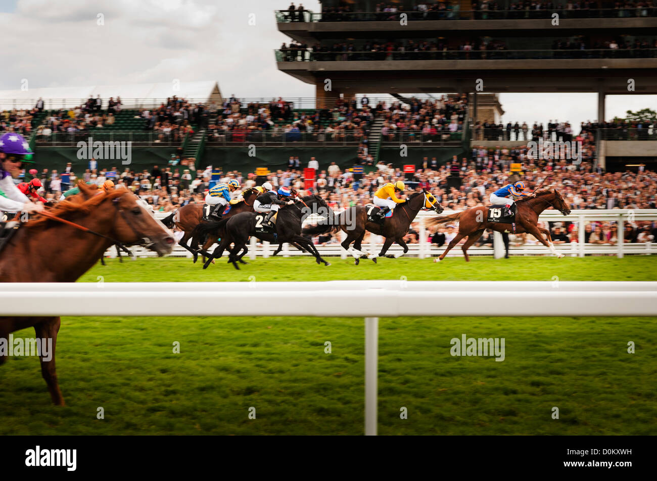 Horseracing at Royal Ascot. Stock Photo