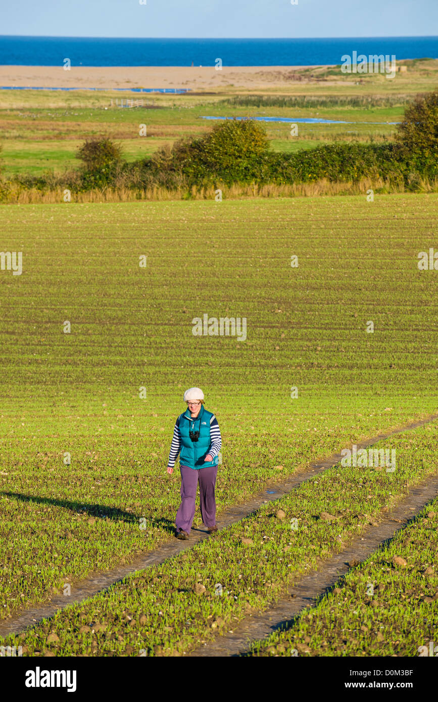 Norfolk coast footpath hi-res stock photography and images - Alamy