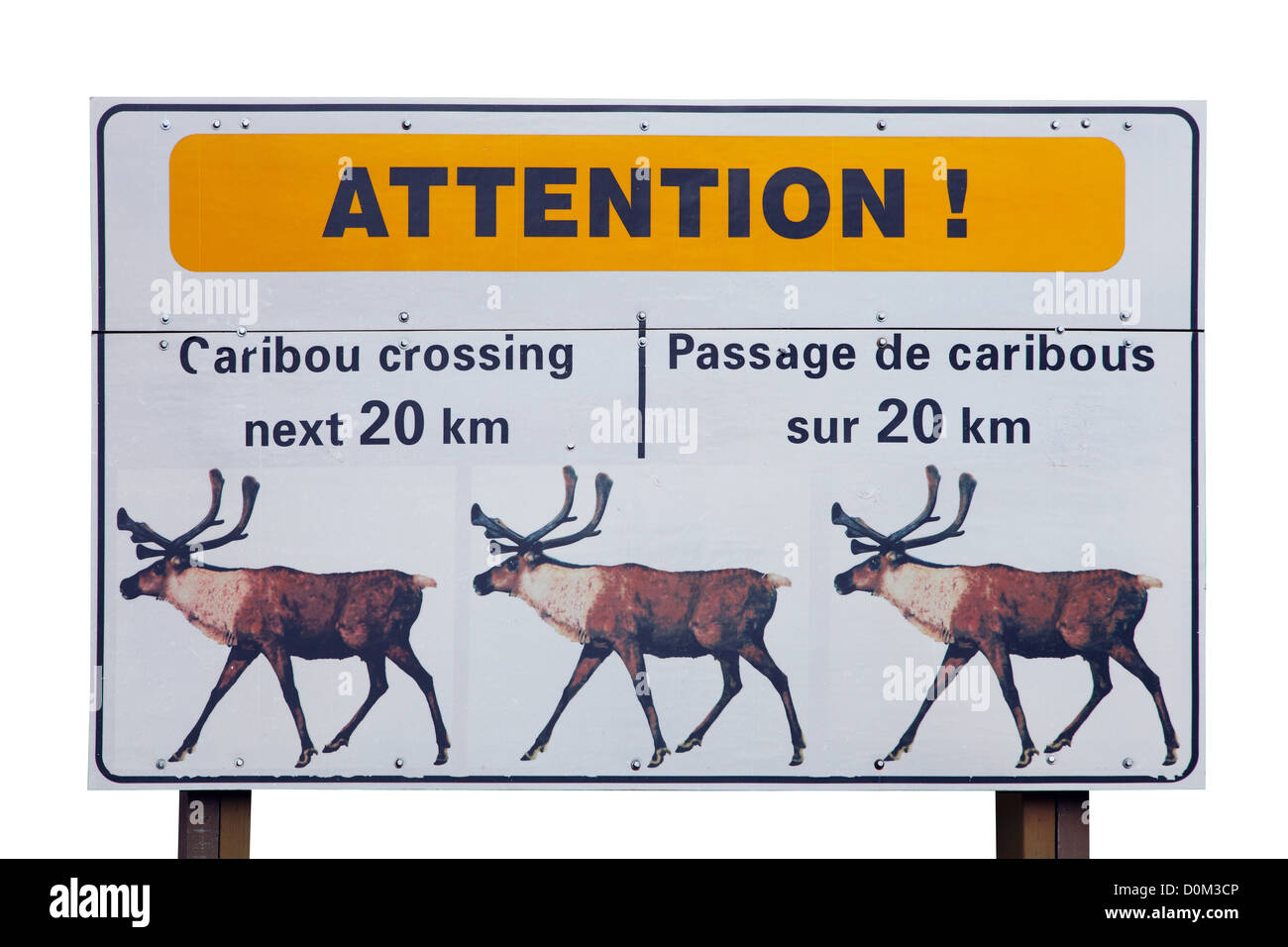 Caribou warning sign, Canada Stock Photo